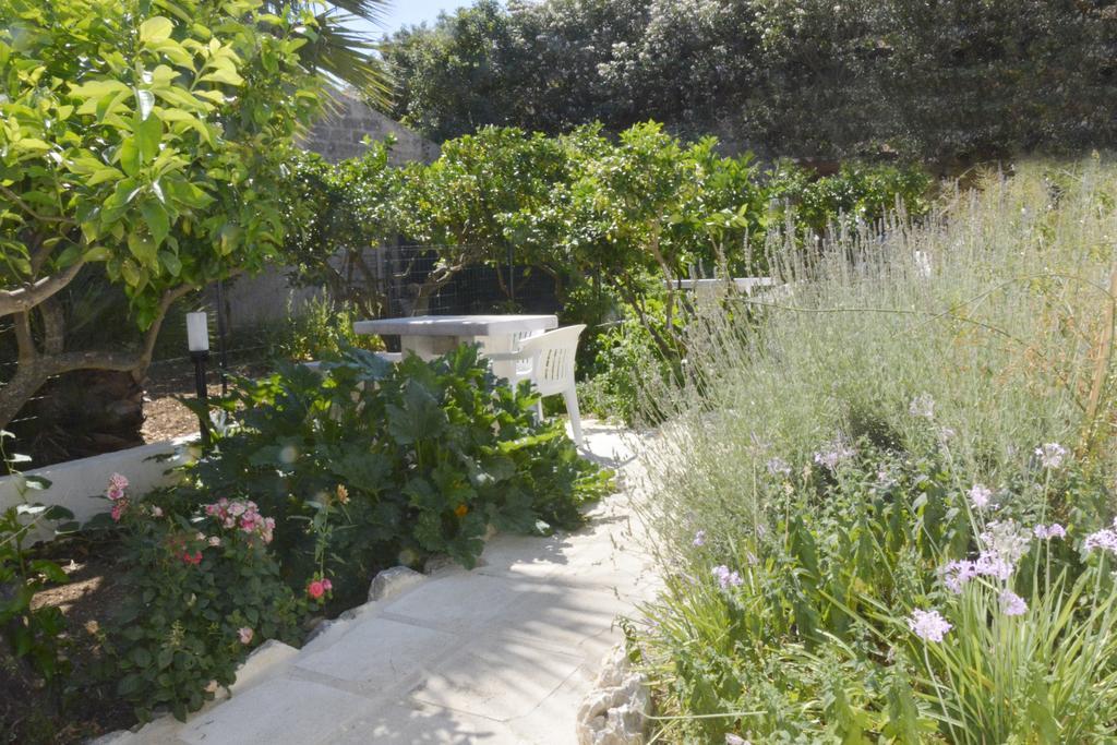 La Casa Tra Mare E Collina Daire Custonaci Dış mekan fotoğraf